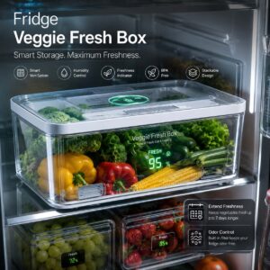 Fridge Veggie Fresh Box
